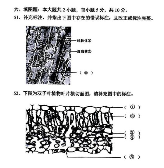 【真题】2024年4月自考02660植物学（二）试题-自考菌
